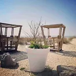 Grand Frond De Sur La Cote D'opale * Camiers