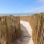 Grand Frond De Sur La Cote D'opale * Camiers