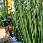Kemping Grand Frond De Sur La Cote D'opale *