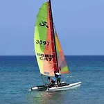 Grand Frond De Sur La Cote D'opale * Camiers