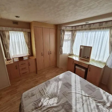 Grand Frond De Sur La Cote D'opale *