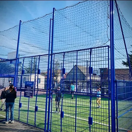 Grand Frond De Sur La Cote D'opale