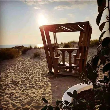 Grand Frond De Sur La Cote D'opale