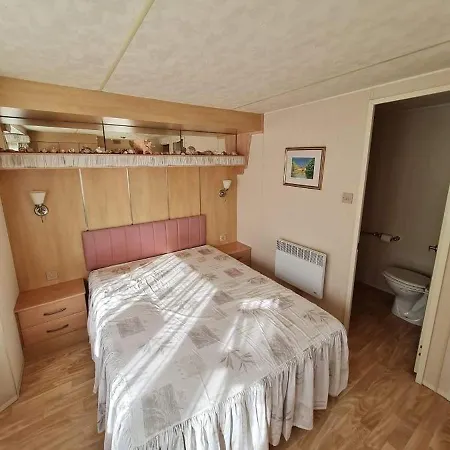 Grand Frond De Sur La Cote D'opale * Camiers