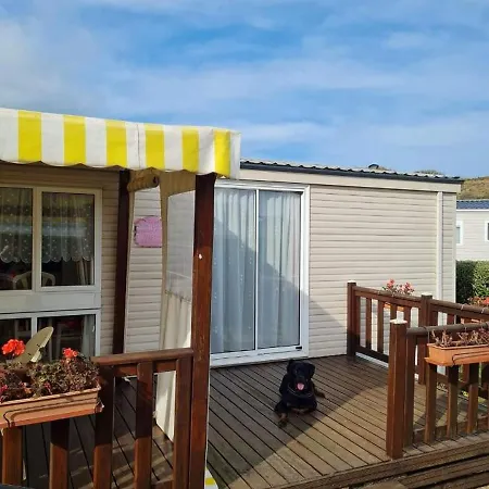 Grand Frond De Sur La Cote D'opale Camiers