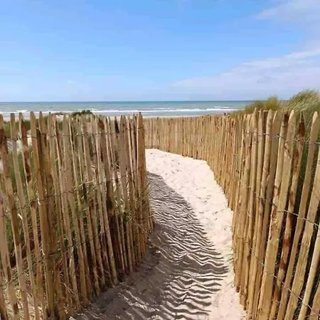 Grand Frond De Sur La Cote D'opale * Camiers