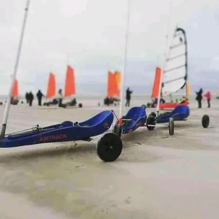 Grand Frond De Sur La Cote D'opale *