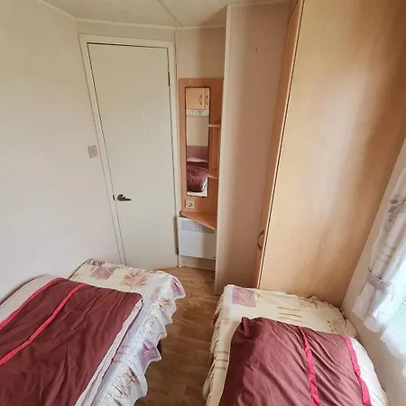 Grand Frond De Sur La Cote D'opale Camiers