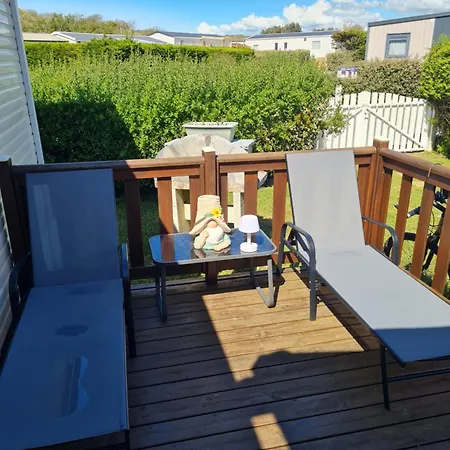 Grand Frond De Sur La Cote D'opale *