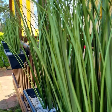 Kemping Grand Frond De Sur La Cote D'opale *