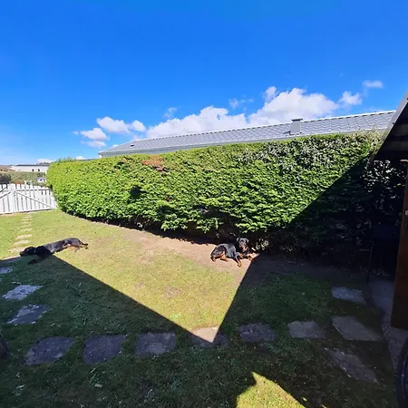 Grand Frond De Sur La Cote D'opale * Camiers