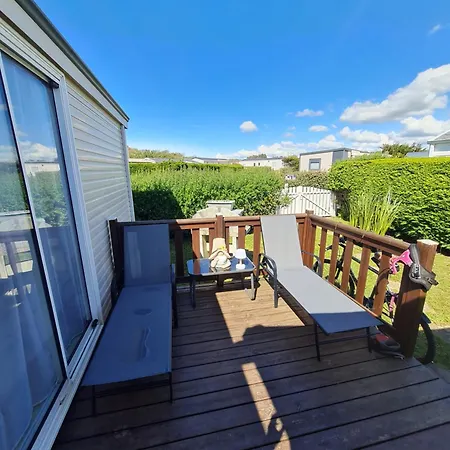 Grand Frond De Sur La Cote D'opale