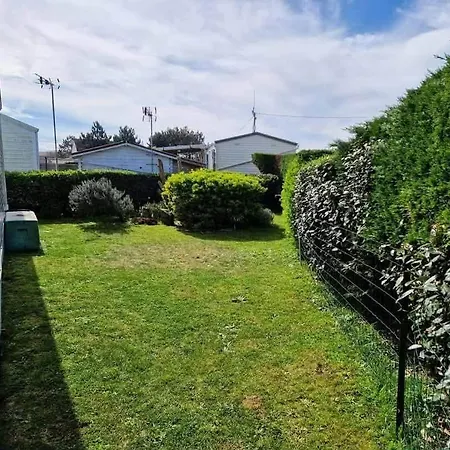 Grand Frond De Sur La Cote D'opale