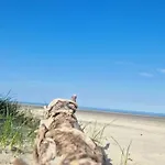 캠프장 Grand Frond De Sur La Cote D'opale 카미에르