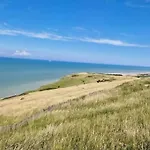 Grand Frond De Sur La Cote D'opale *