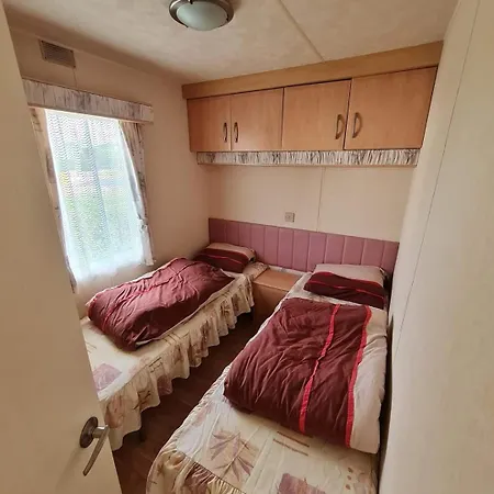 Grand Frond De Sur La Cote D'opale *