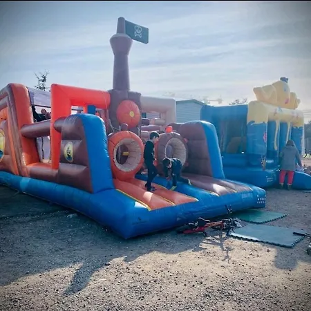 Grand Frond De Sur La Cote D'opale *