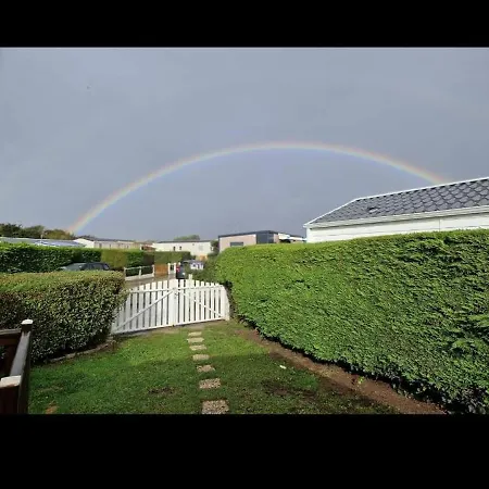 Grand Frond De Sur La Cote D'opale * Camiers