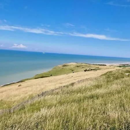 Grand Frond De Sur La Cote D'opale *