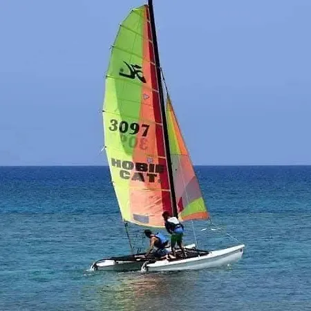Grand Frond De Sur La Cote D'opale * Camiers