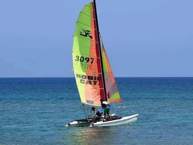 Grand Frond De Sur La Cote D'opale * Camiers